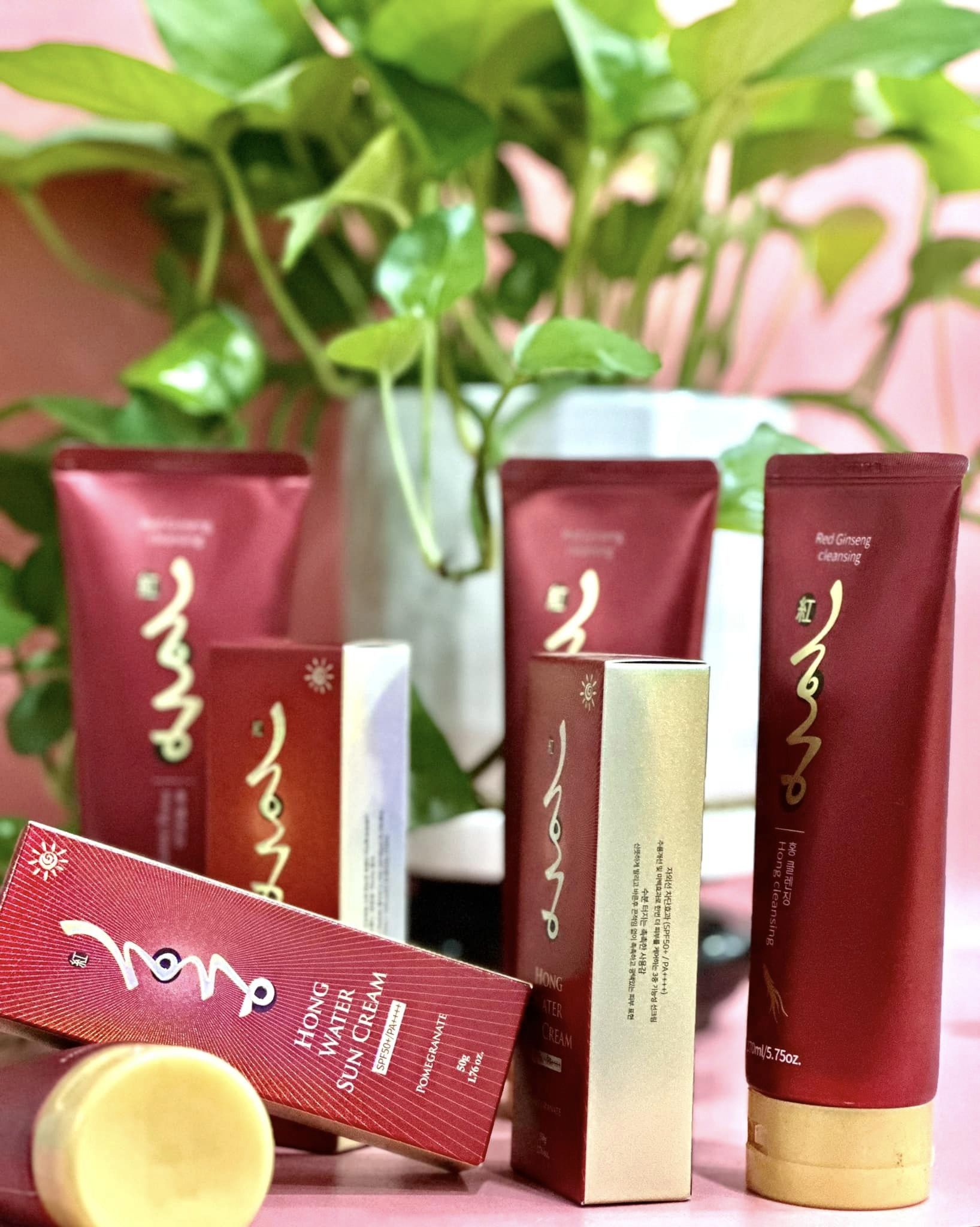 Sữa Rửa Mặt Hồng Sâm – Red Ginseng Cleansing Foam - Image 7