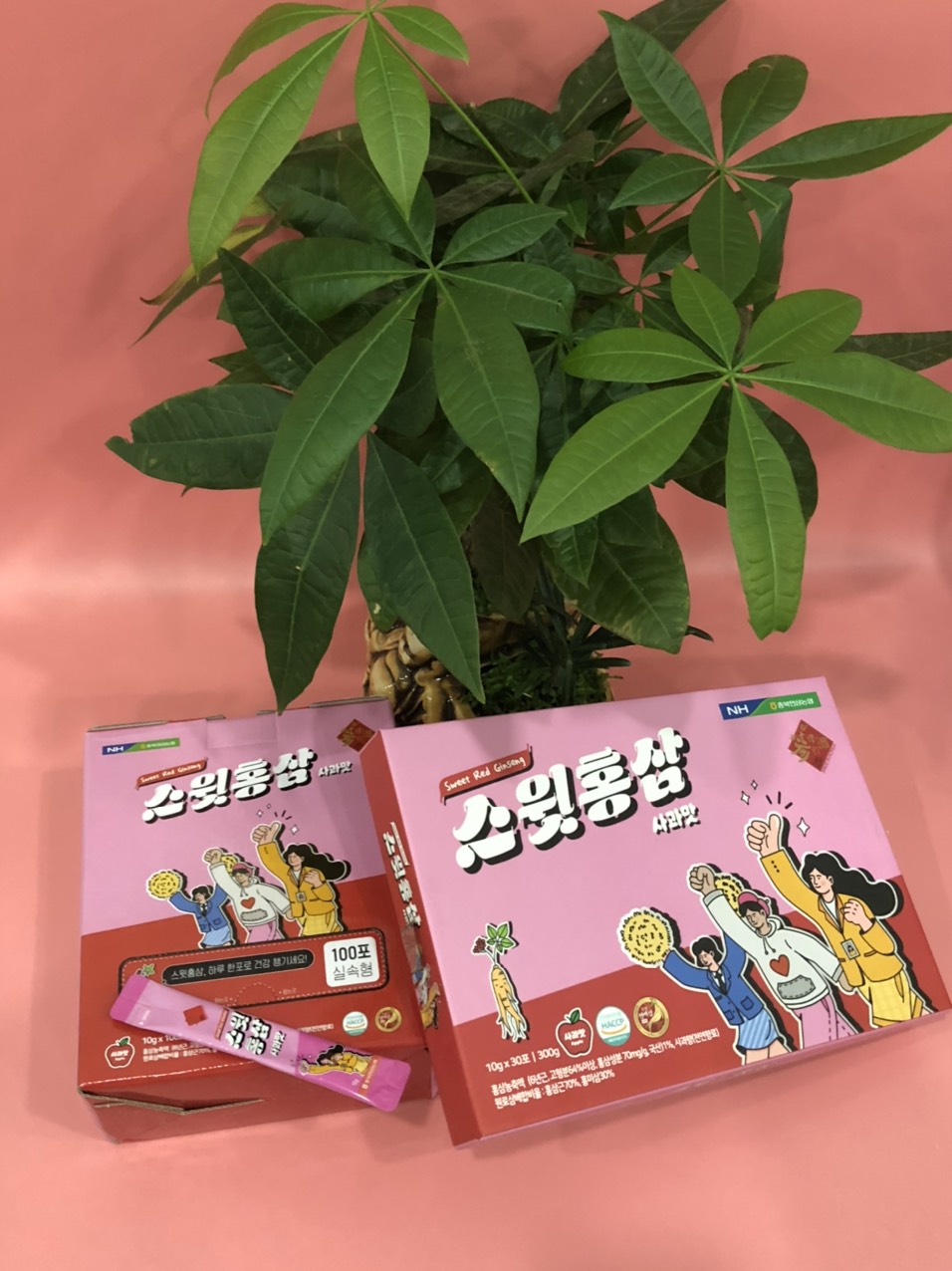 Hồng Sâm Trẻ Em Dạng Stick – Sweet Red Ginseng for Kids - Image 4