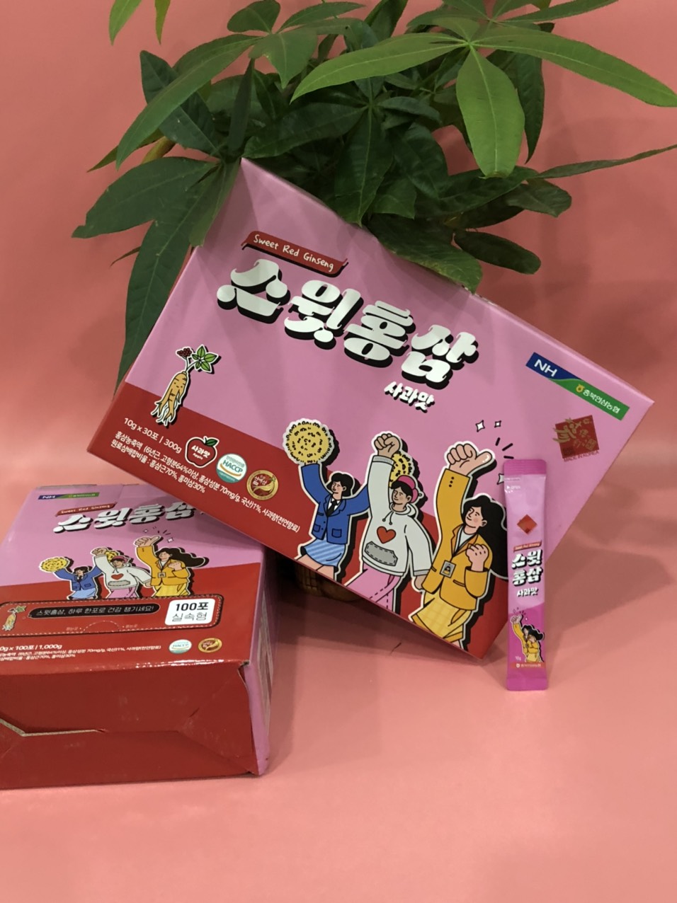 Hồng Sâm Trẻ Em Dạng Stick – Sweet Red Ginseng for Kids - Image 3