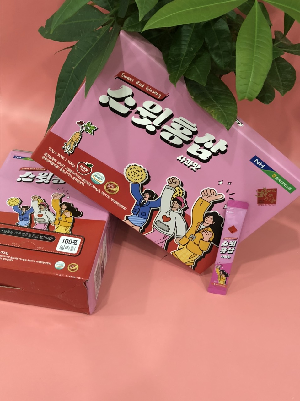 Hồng Sâm Trẻ Em Dạng Stick – Sweet Red Ginseng for Kids - Image 2